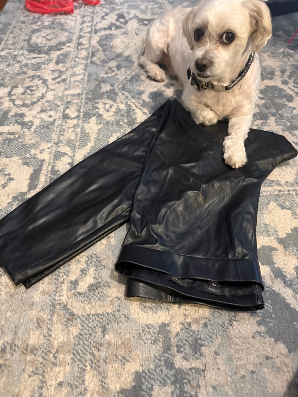 J. Crew Black Faux Leather Leggings - Gloss Finish